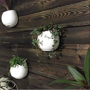 3 Pack 4 Inch White Pots Succulent Ceramic Planter